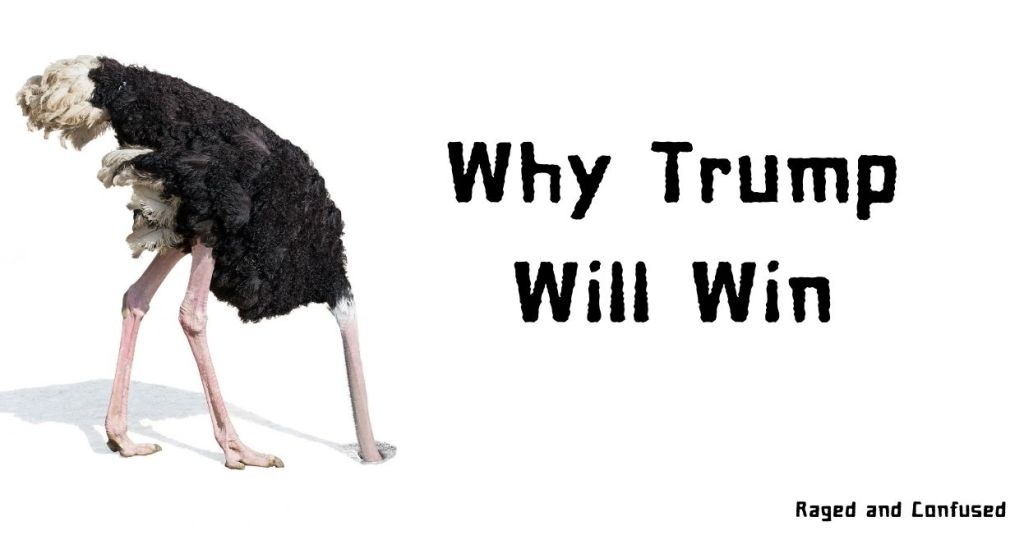 Why Trump Will&nbsp;Win