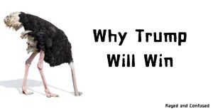 Why Trump Will Win