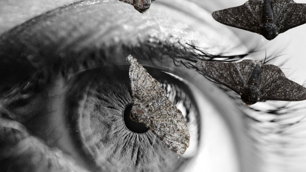 Retrospective – The&nbsp;Realization