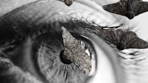 Retrospective – The Realization